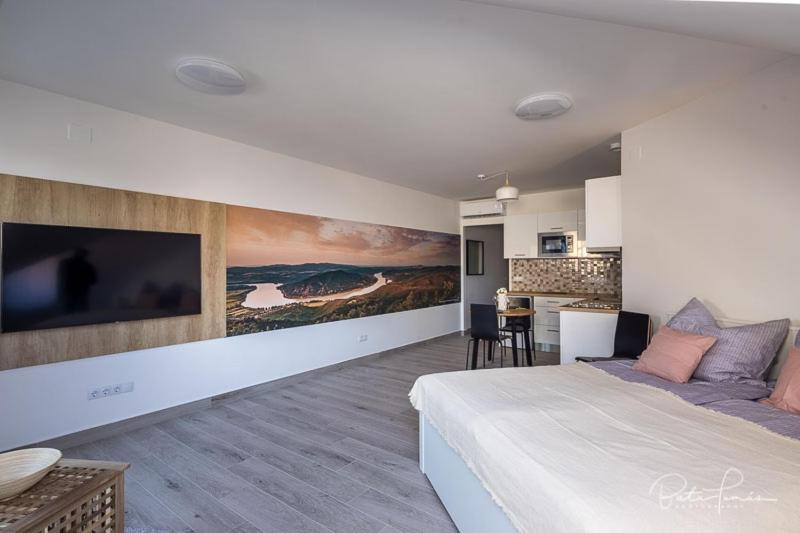 Stafetahaz Apartmanok Vac Bagian luar foto